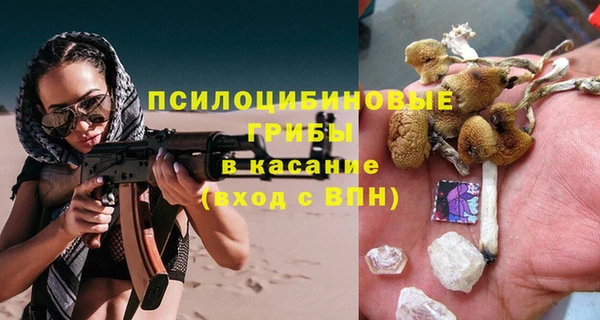 амф Арсеньев
