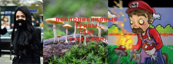 амф Арсеньев