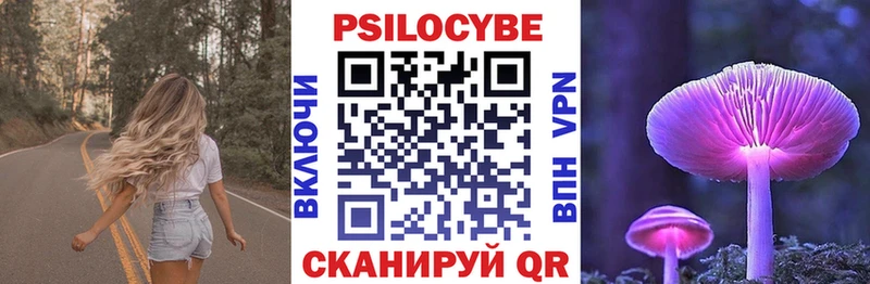 Псилоцибиновые грибы Psilocybe  ОМГ ОМГ зеркало  Белорецк  магазин  наркотиков 