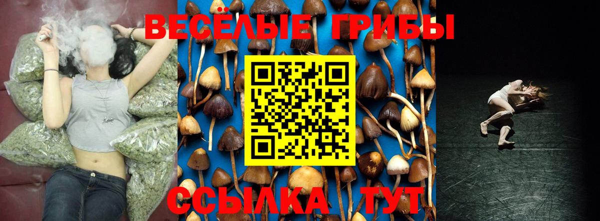 Псилоцибиновые грибы GOLDEN TEACHER Белорецк